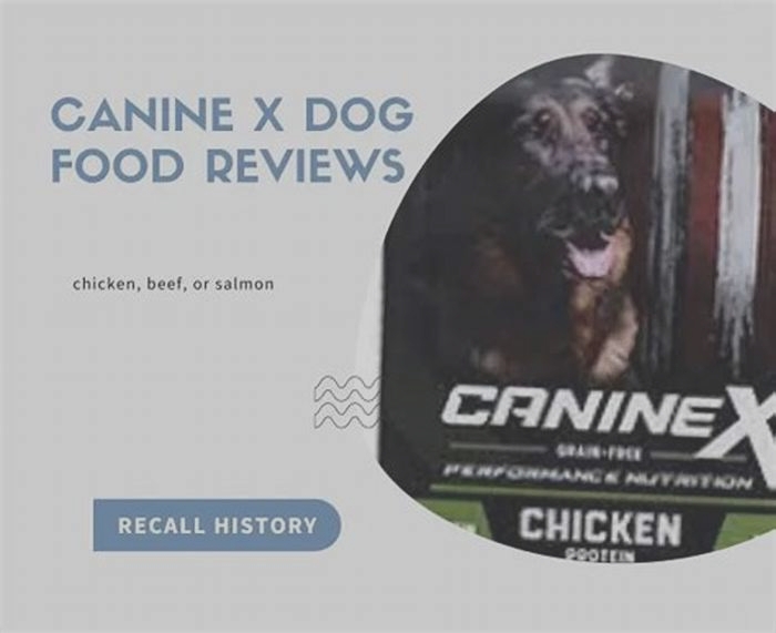 reviews on canine x dog food