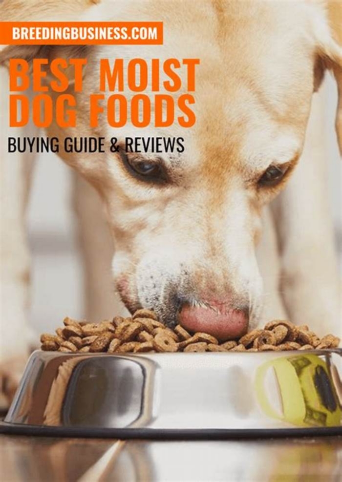 the best moist dog food