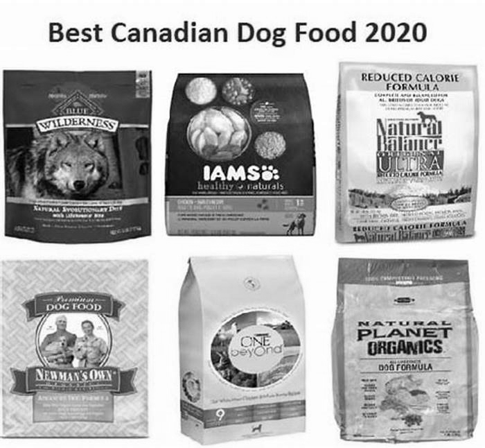 top 10 dog foods in canada