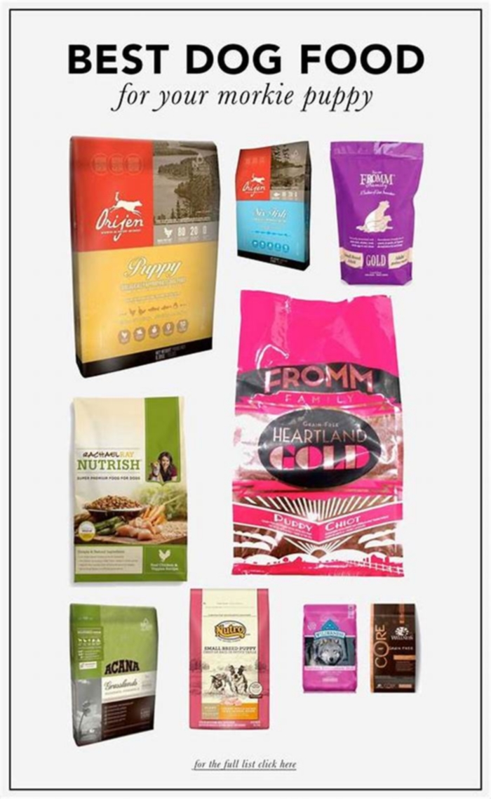 top 3 best dog food brands