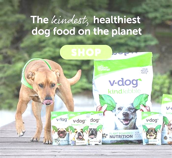 v dog food reviews