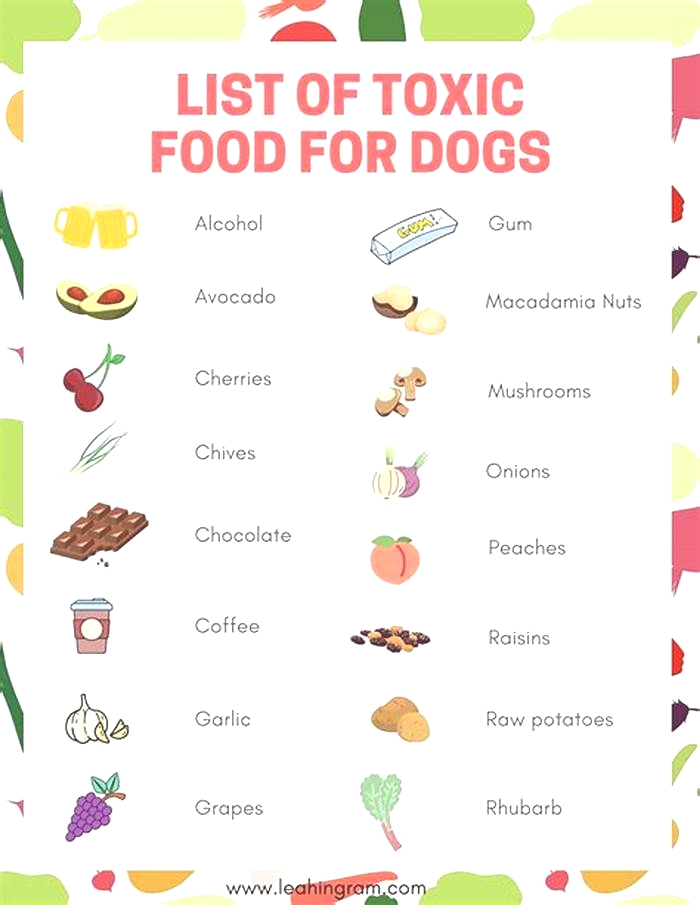 what 6 foods are toxic to dogs