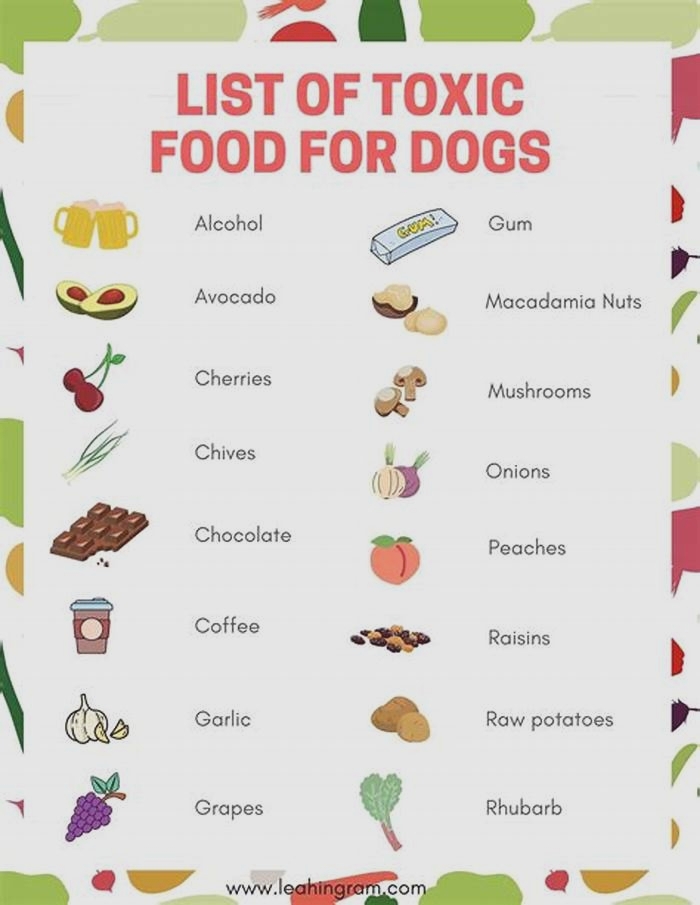 what are the 5 toxic foods for dogs