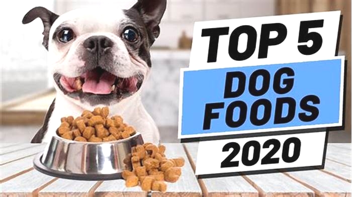 what are the top 5 dog foods