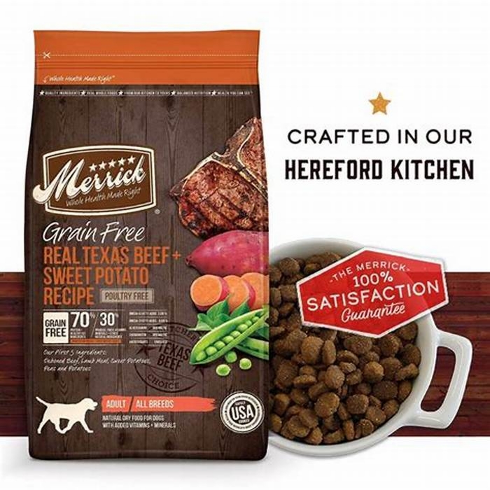 what brand is best for dog food