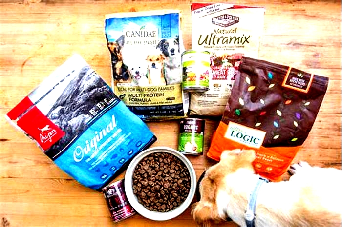 what brand is the best dog food