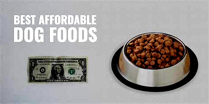 what cheap dog food is best