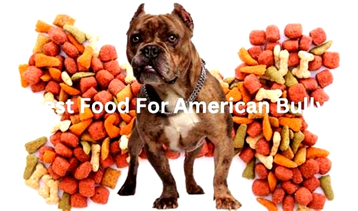 what dog food is good for american bullies