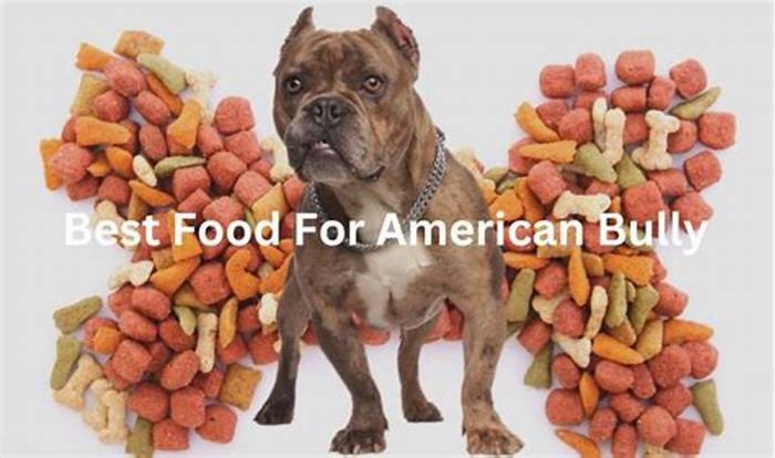 what dog food is good for bullies