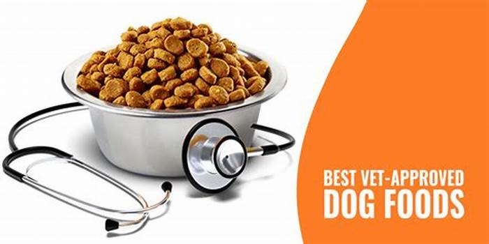 what dog foods are recommended by vets