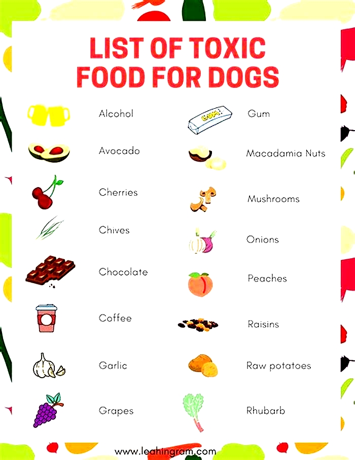 what foods are toxic to dogs chart