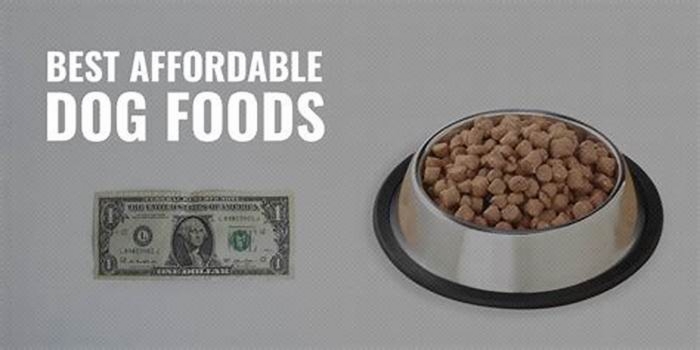 what is a cheap but good dog food