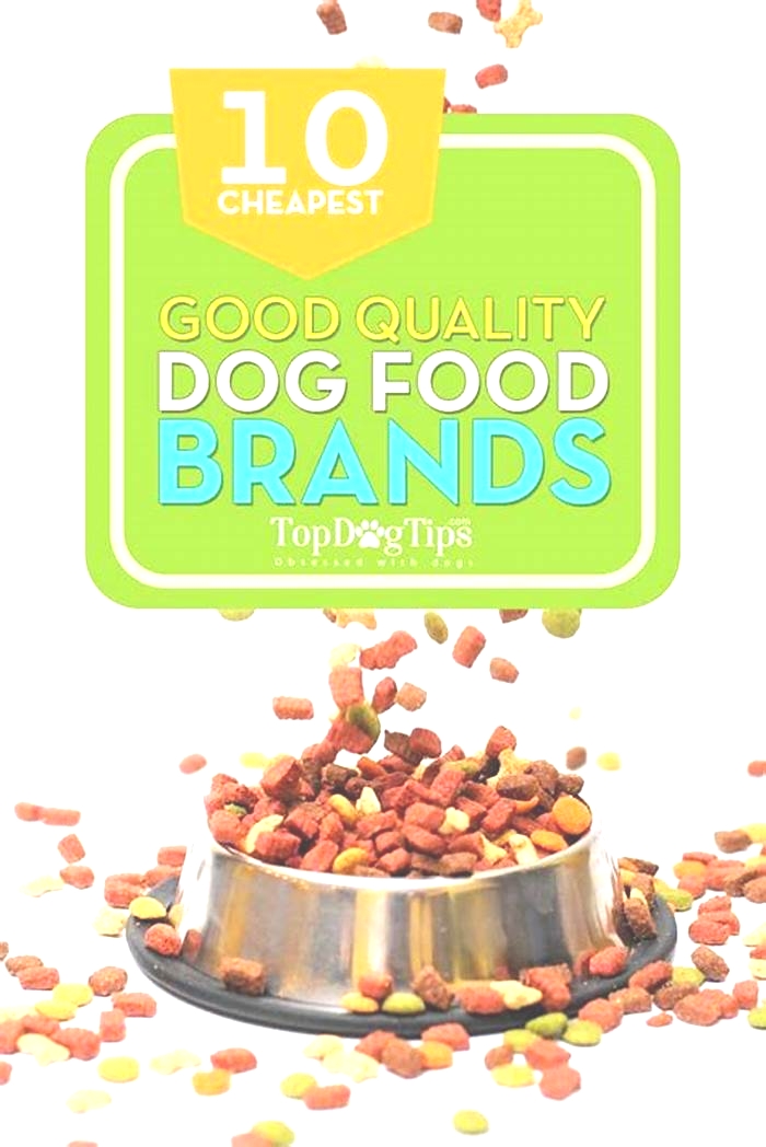 what is a good cheap brand of dog food