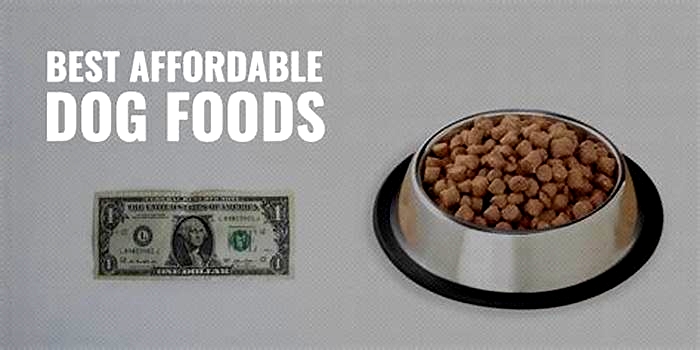 what is a good dog food at a reasonable price