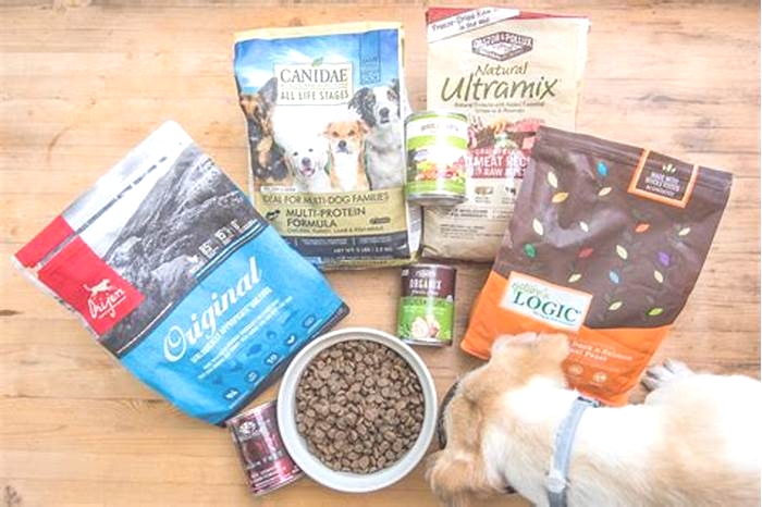 what is a good dog food to buy