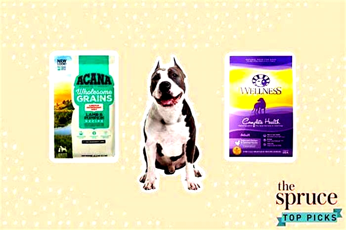 what is the best brand of dog food for pitbulls