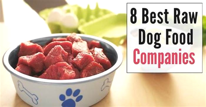 what is the best brand of raw dog food