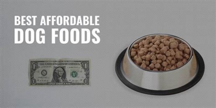 what is the best cheap dog food