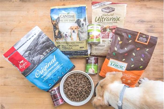 what is the best dog food at a reasonable price