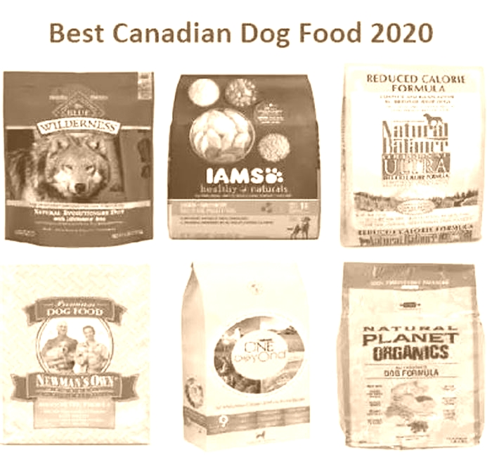 what is the best dog food canada