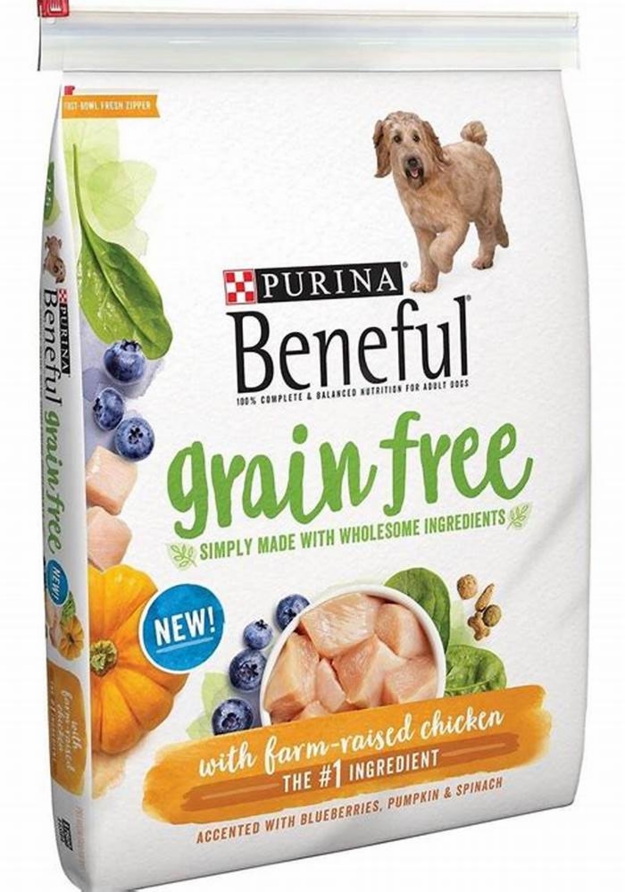 what is the best dog food grain free