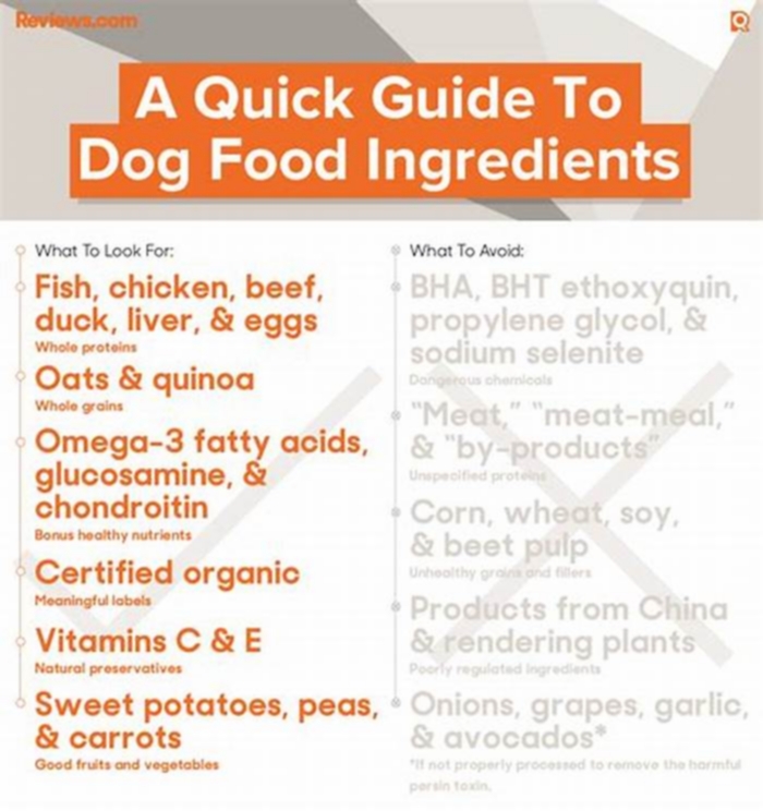 what is the best dog food ingredients