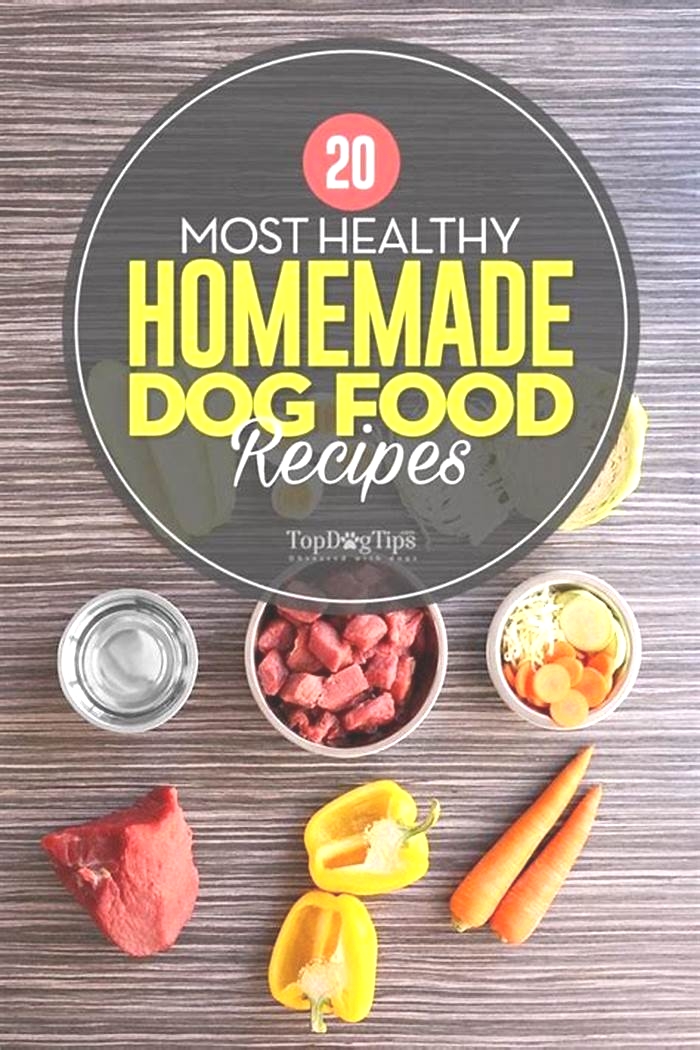 what is the best dog food recipe