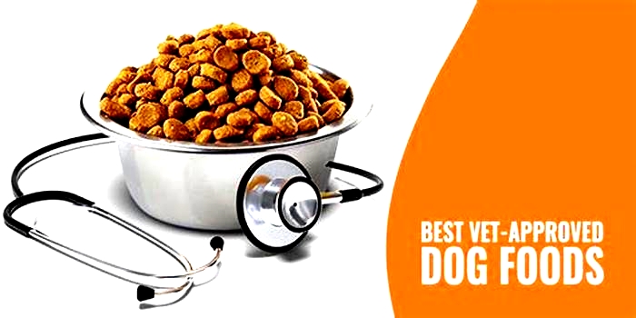 what is the best dog food recommended by vets