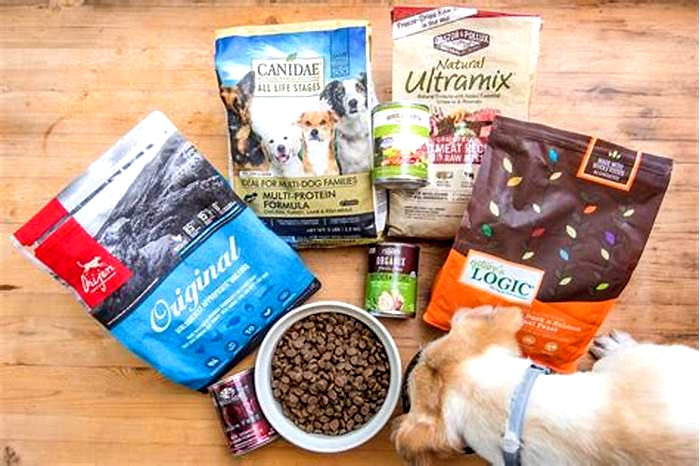 what is the best dog food to buy