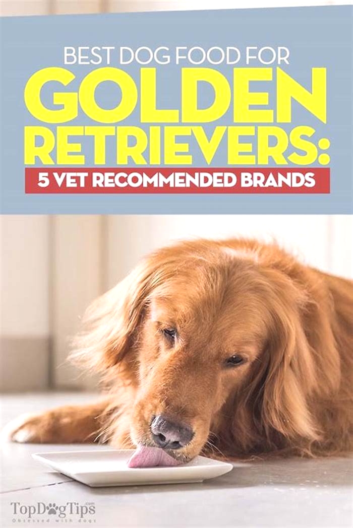 what is the best dry dog food for golden retrievers