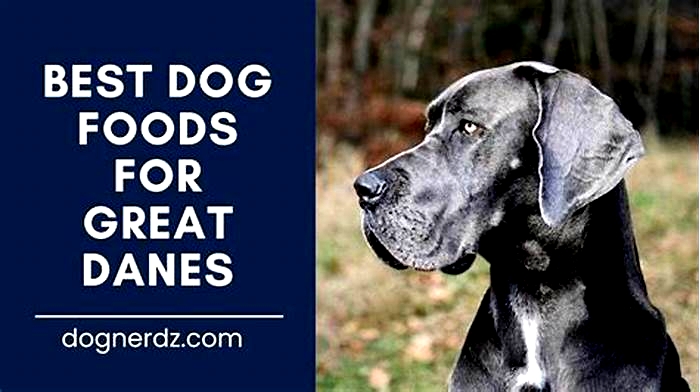 what is the best dry dog food for great danes