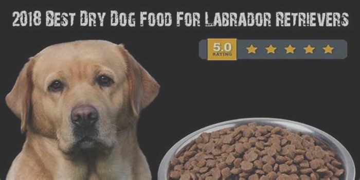 what is the best dry dog food for labrador retrievers