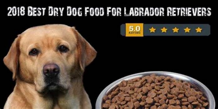 what is the best dry dog food for labs