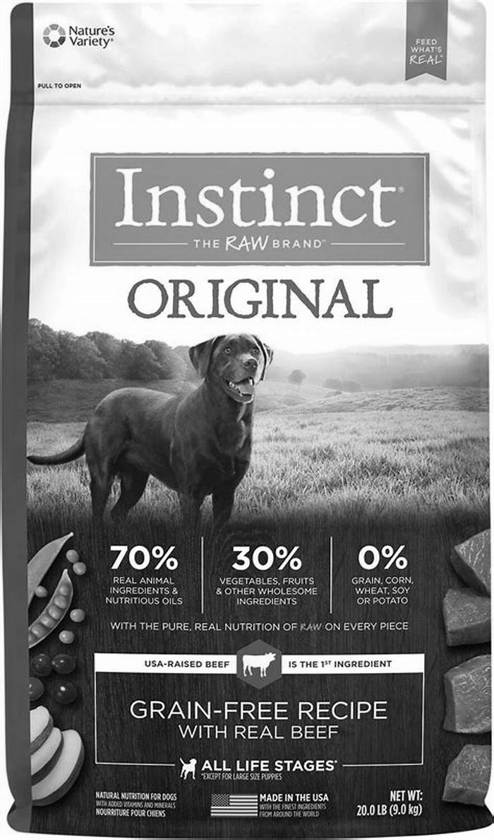 what is the best dry dog food for large dogs