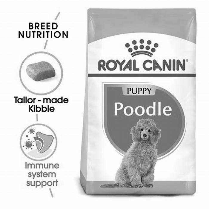 what is the best dry dog food for poodles