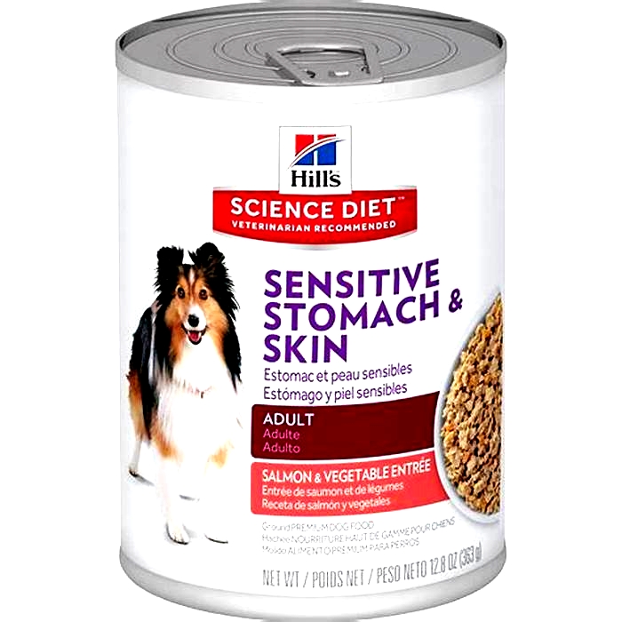 what is the best dry dog food for sensitive stomachs