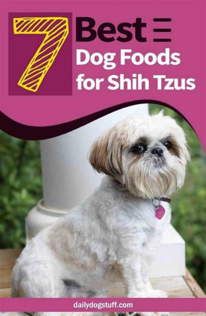 what is the best dry dog food for shih tzu