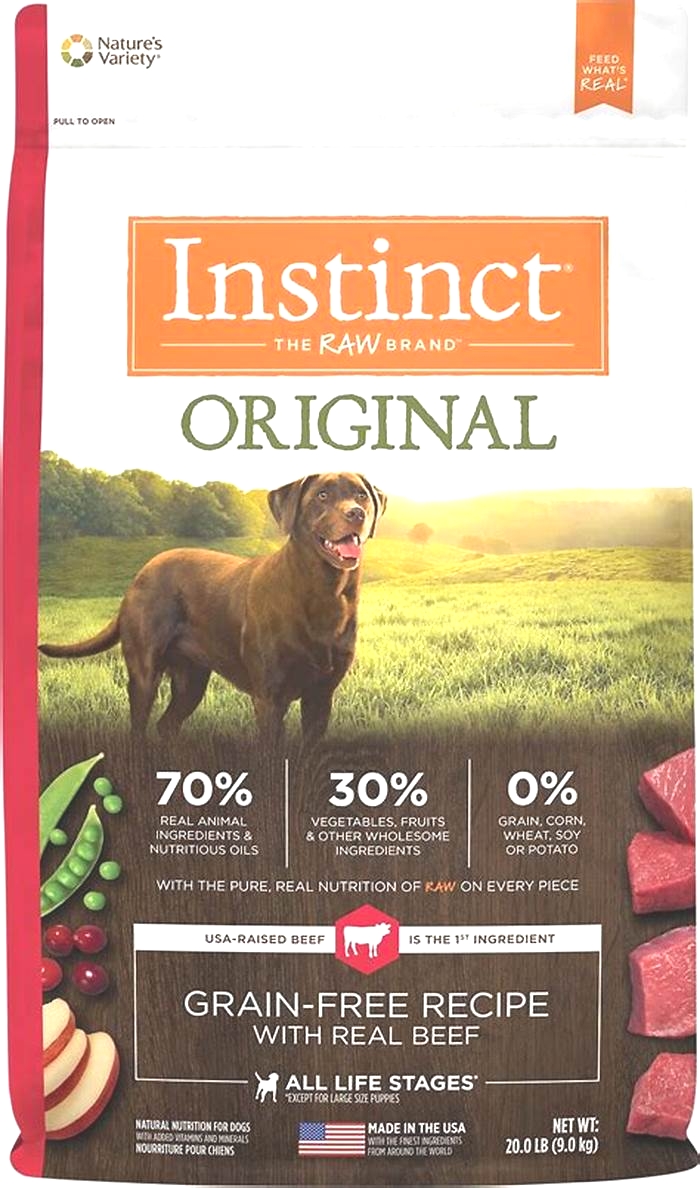 what is the best dry dog food for small dogs