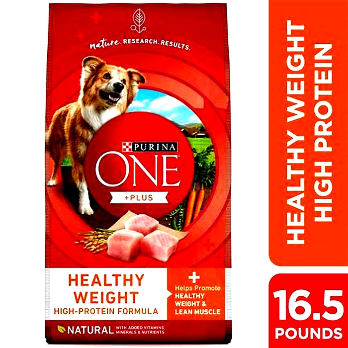 what is the best dry dog food for weight management