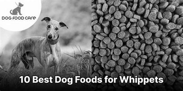 what is the best dry dog food for whippets uk