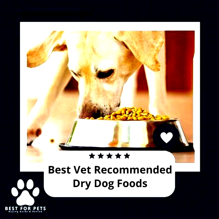 what is the best dry dog food recommended by vets