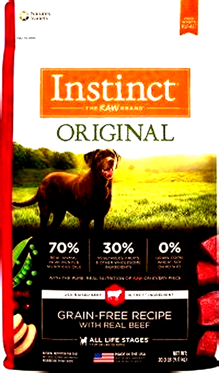 what is the best premium dry dog food