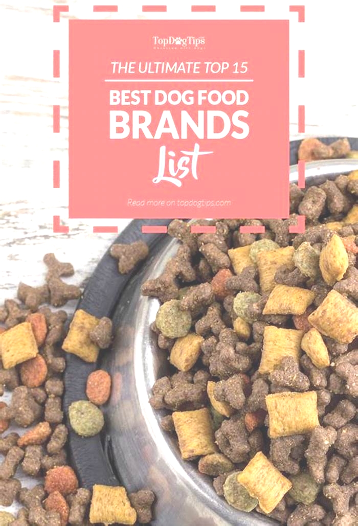 what is the best puppy food brand