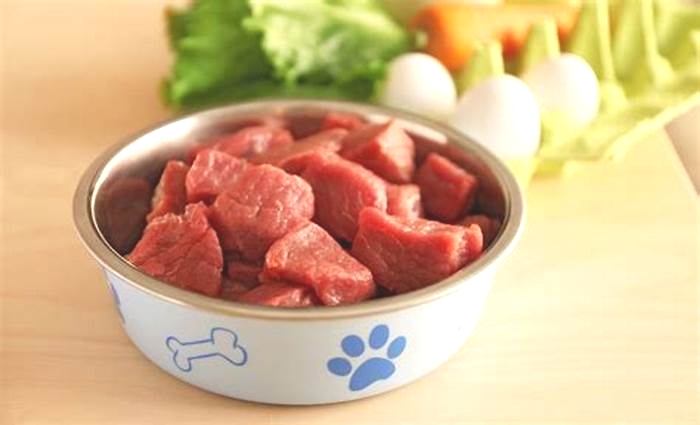 what is the best raw dog food uk