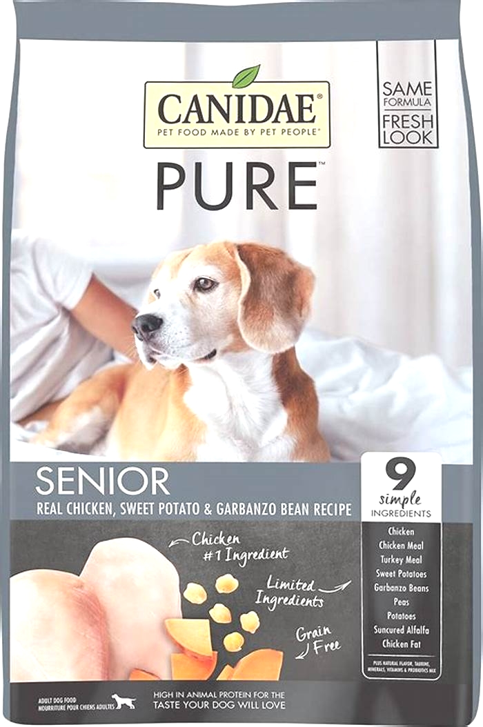 what is the best senior dry dog food uk