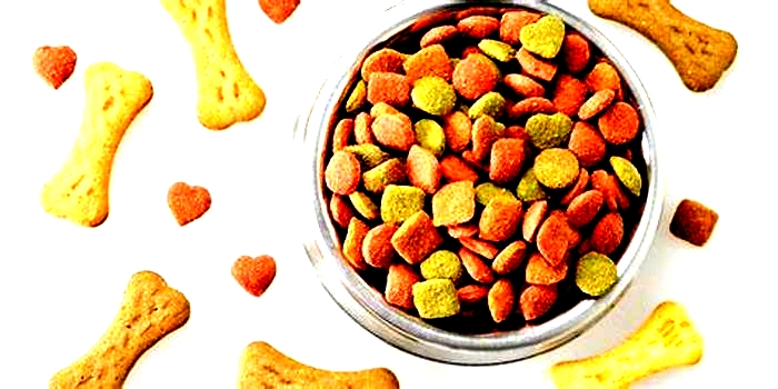 what is the best tasting dry dog food