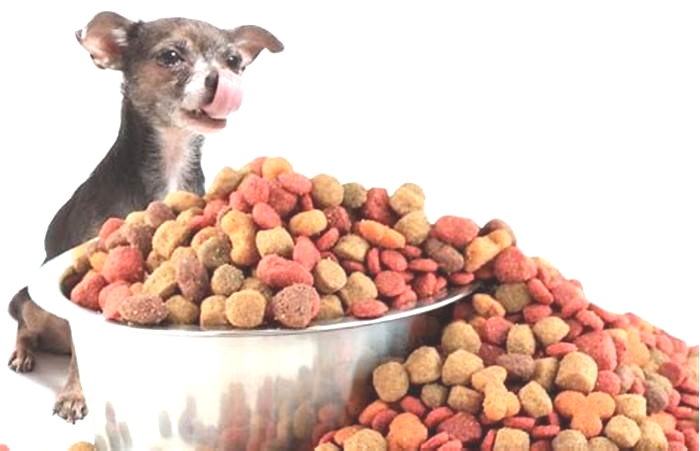 what is the number one dog food on the market