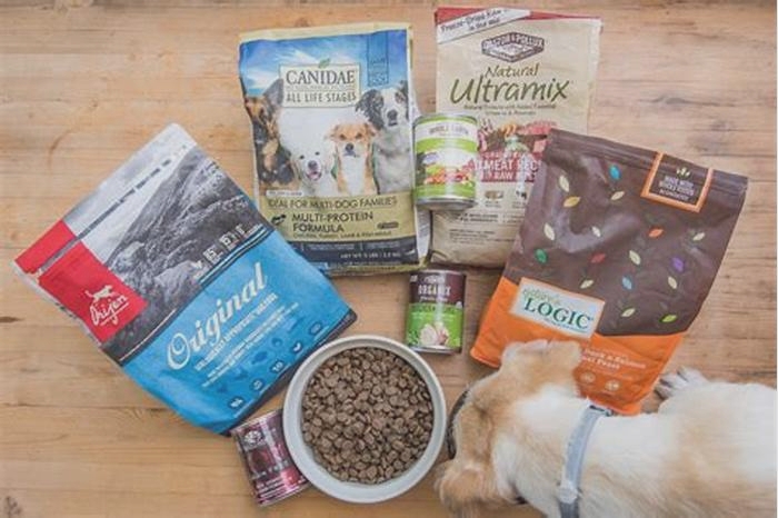 what is the top 5 best dog foods