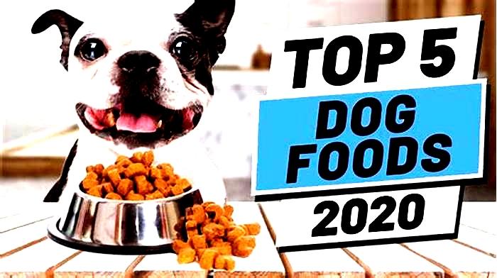 what is the top 5 dog foods