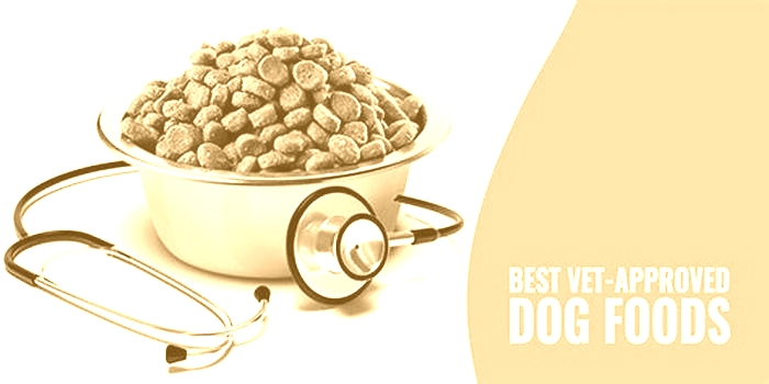 what puppy food do vets recommend uk